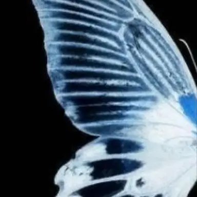 Profile image of 유지민
