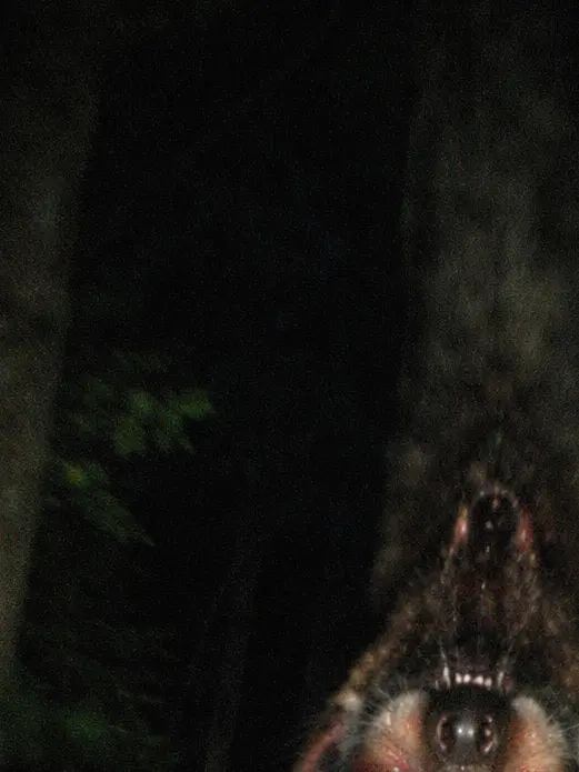 UglySocks4938의 ある探検家の記録