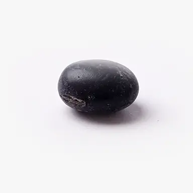 Profile image of 콩