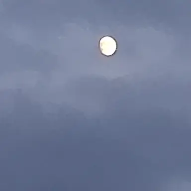 Profile image of 장지아하오