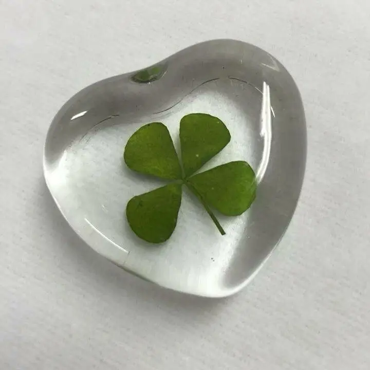 TrendyQuest2379의 팀나빠+여우