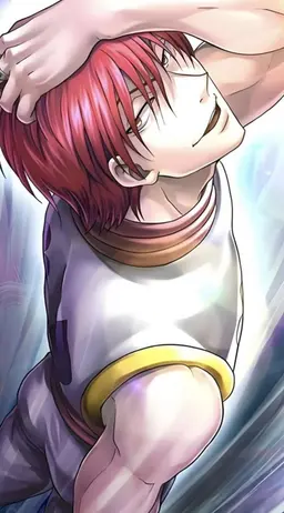 Profile image of Hisoka