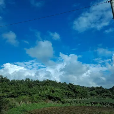 Profile image of 가게 주인