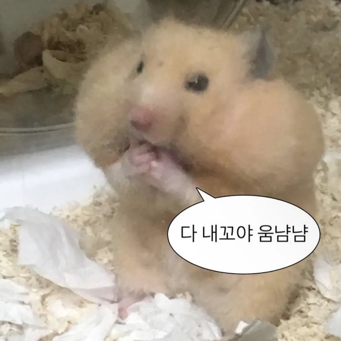 WaryGulf6545의 마피오소에게 집착당하깅🖤⚔(여우)