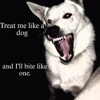 Profile image of TF141 - Dangerous Monster