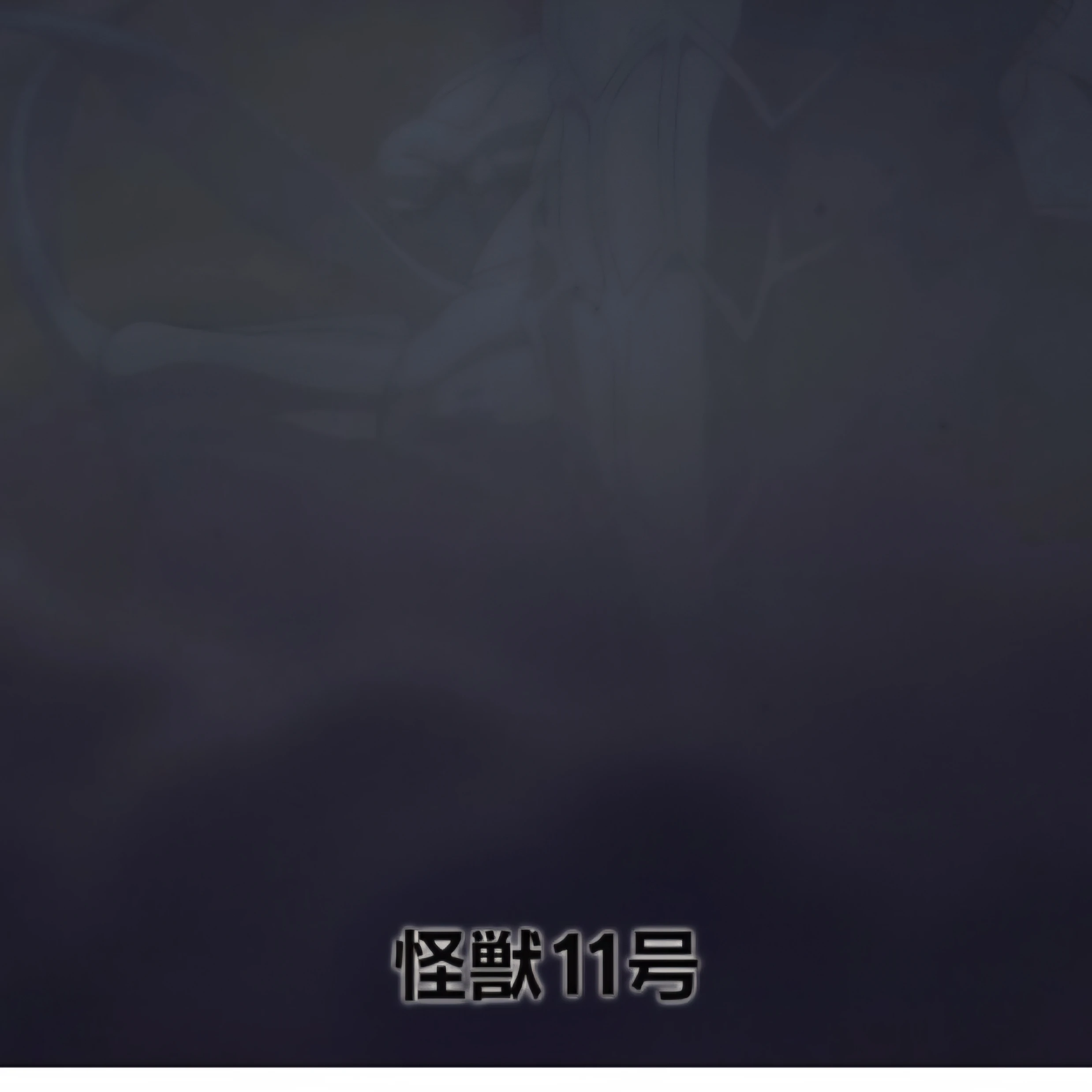 11호