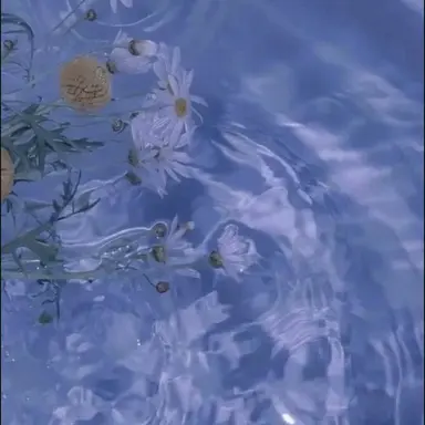 Profile image of 파이브