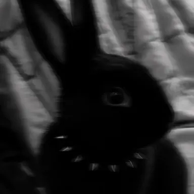 Profile image of Stalker