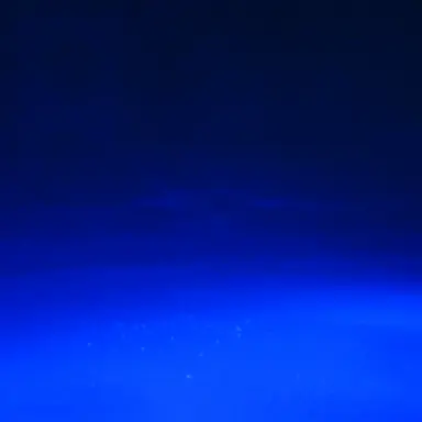 Profile image of 先生達