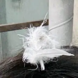 Profile image of ゆうま