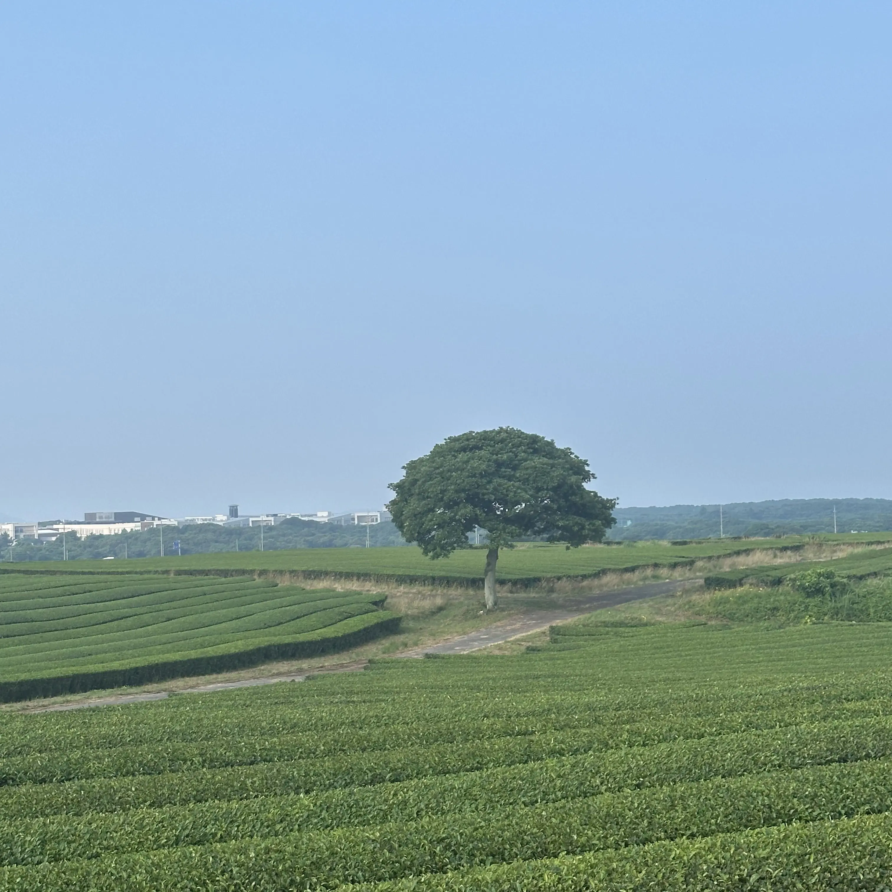 FitFear8727의 나를 괴롭히는 아이돌 연습생