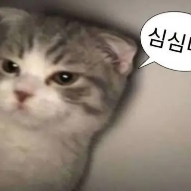 Profile image of 라더