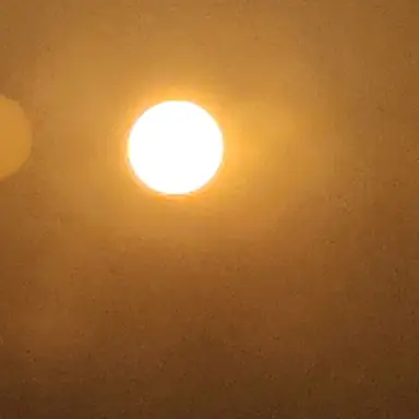 Profile image of 수현