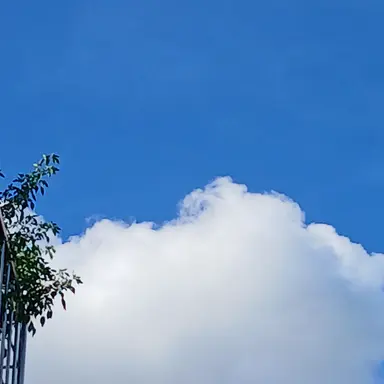 Profile image of 모두