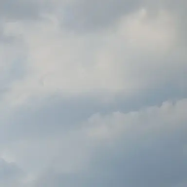 Profile image of 설정
