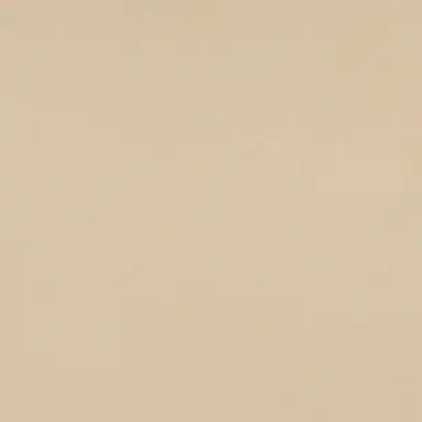 Profile image of 박건엽