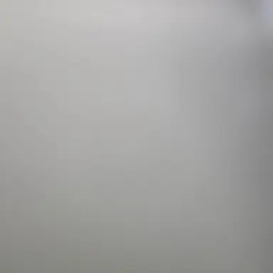 Profile image of 라더