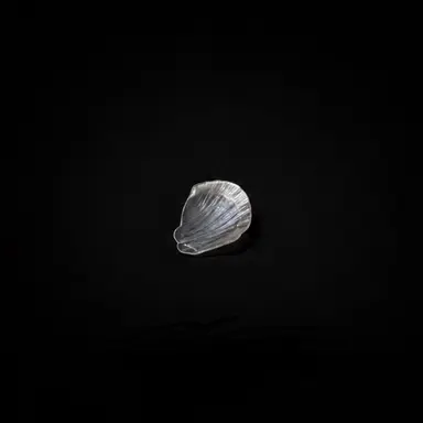 Profile image of M