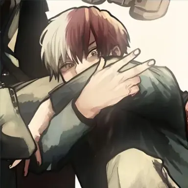 Profile image of Shoto Todoroki
