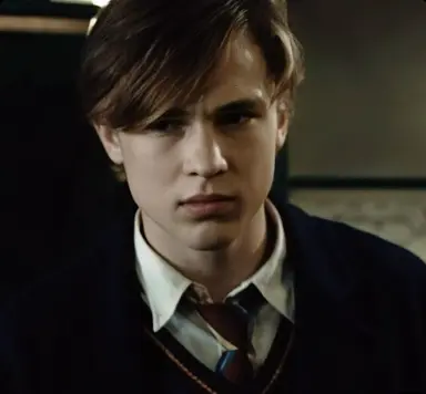 Profile image of Peter Pevensie