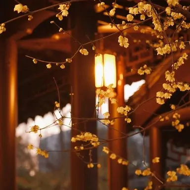 Profile image of 준브레드