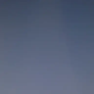 Profile image of 늑대