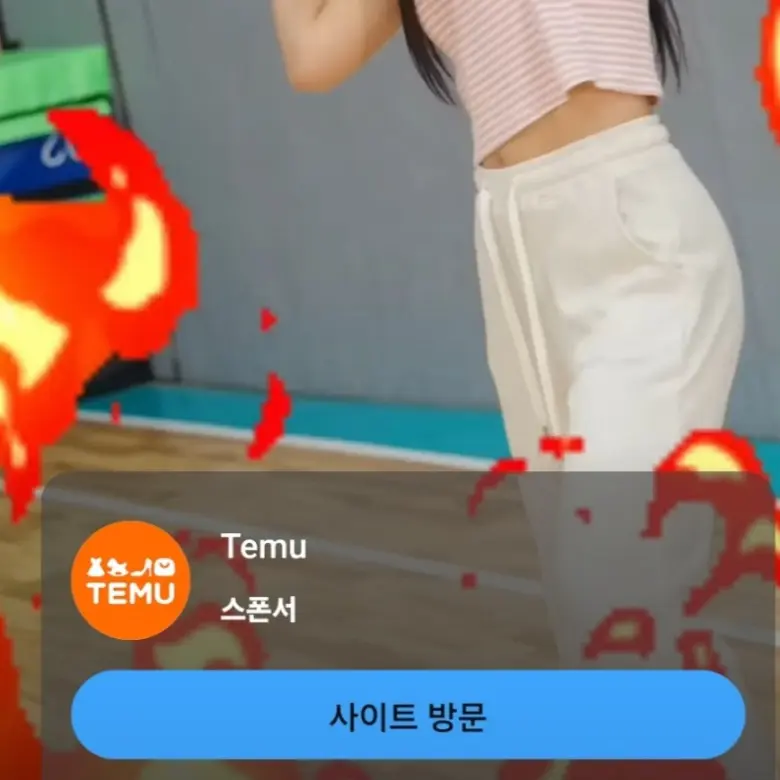 TallProbe7858의 테무