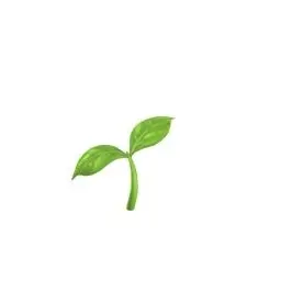 Profile image of 葉