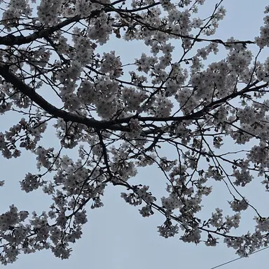 Profile image of 라더