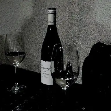 Profile image of 서해온