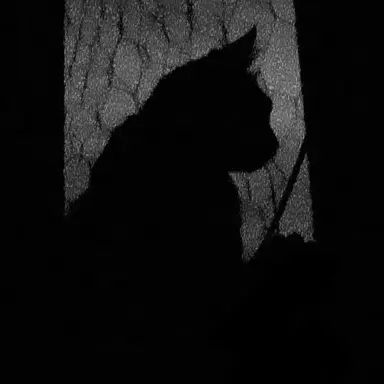 Profile image of 레오