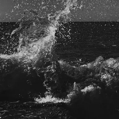 Profile image of 이태욱