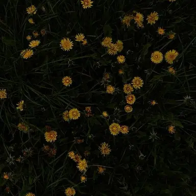 Profile image of 차인혁