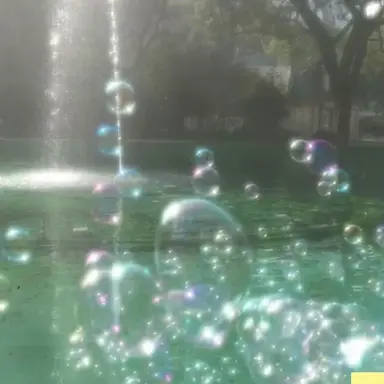 Profile image of 공룡