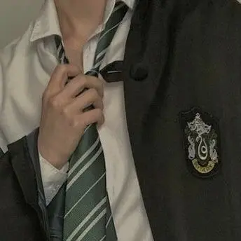 Profile image of Draco Malf