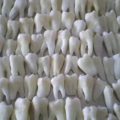 Profile image of 채승주