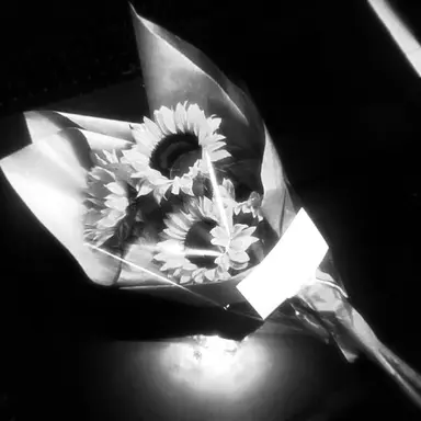 Profile image of 베라