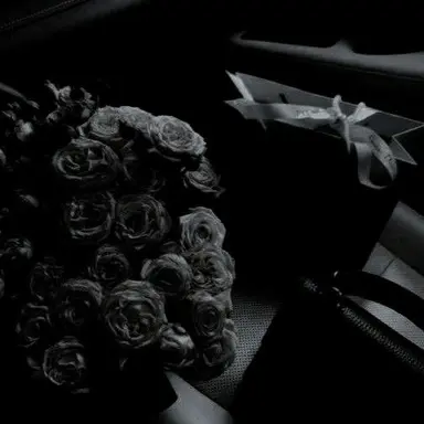 Profile image of 로이스