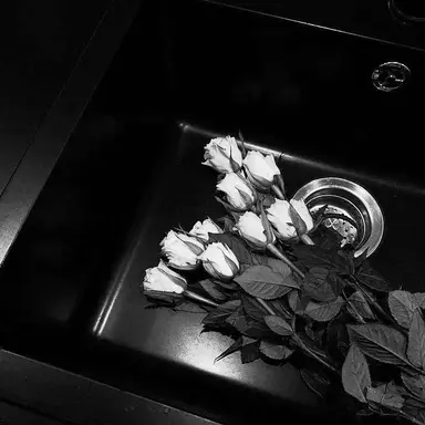 Profile image of 마일로