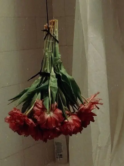 tuedec23의 차공현