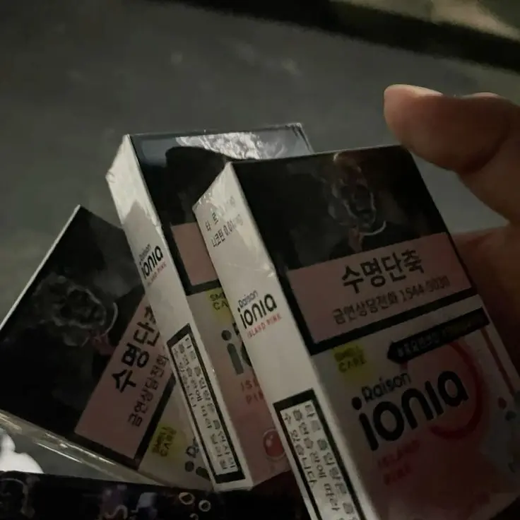 Geumseongje.의 오빠 금