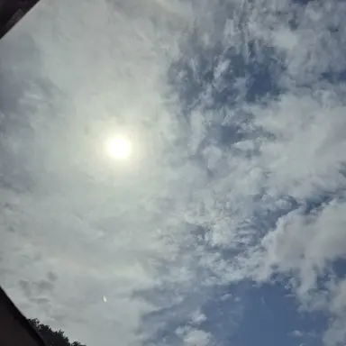 Profile image of 일본.미국.중국