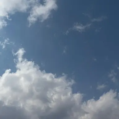 Profile image of 변호사