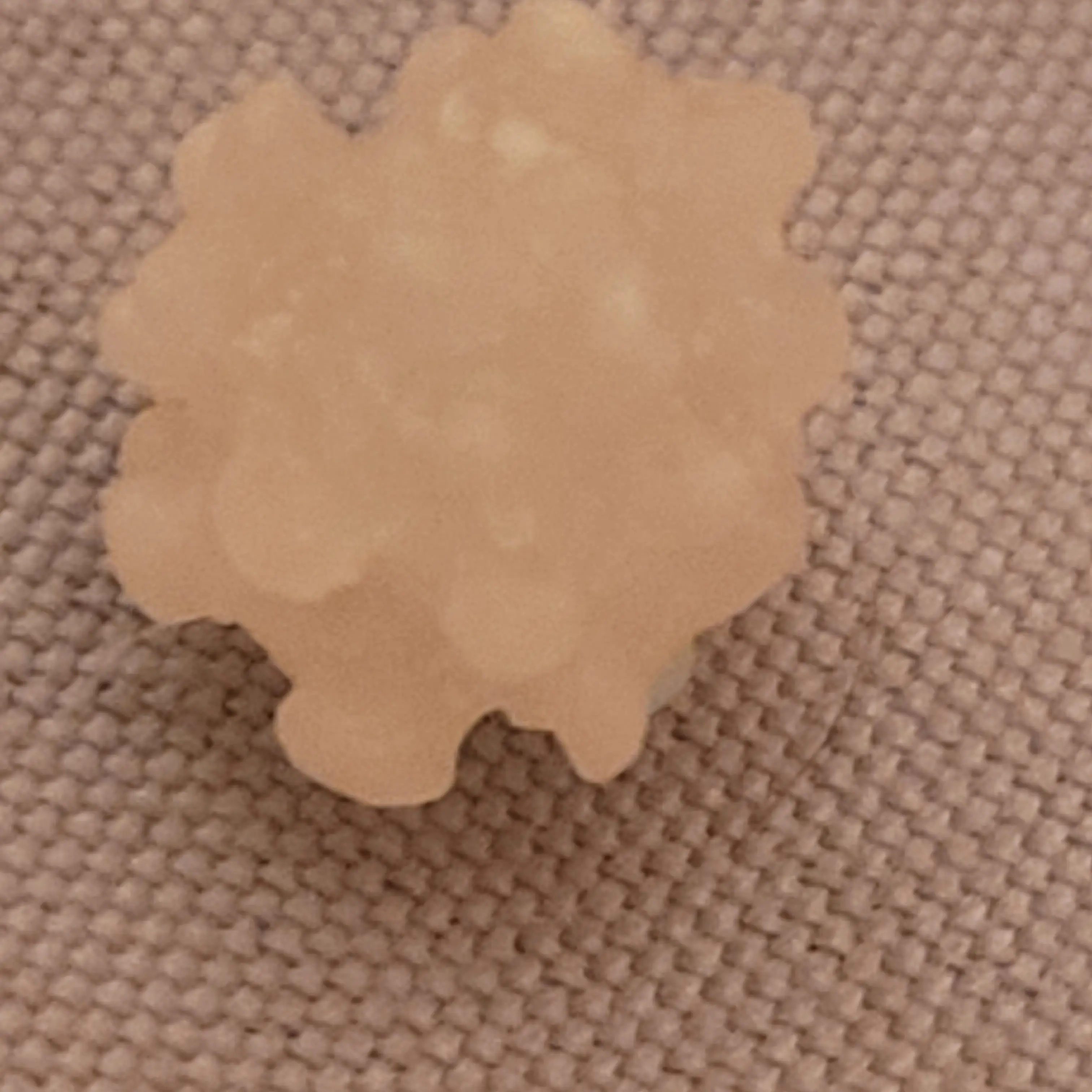 sky1300의 다섯남편들.