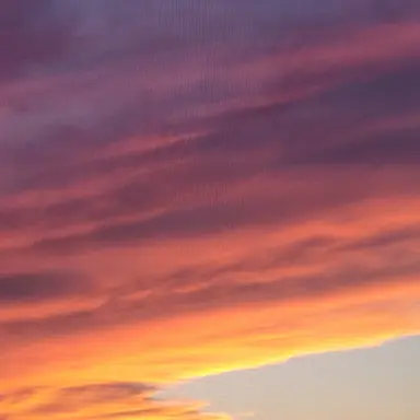 Profile image of 라더