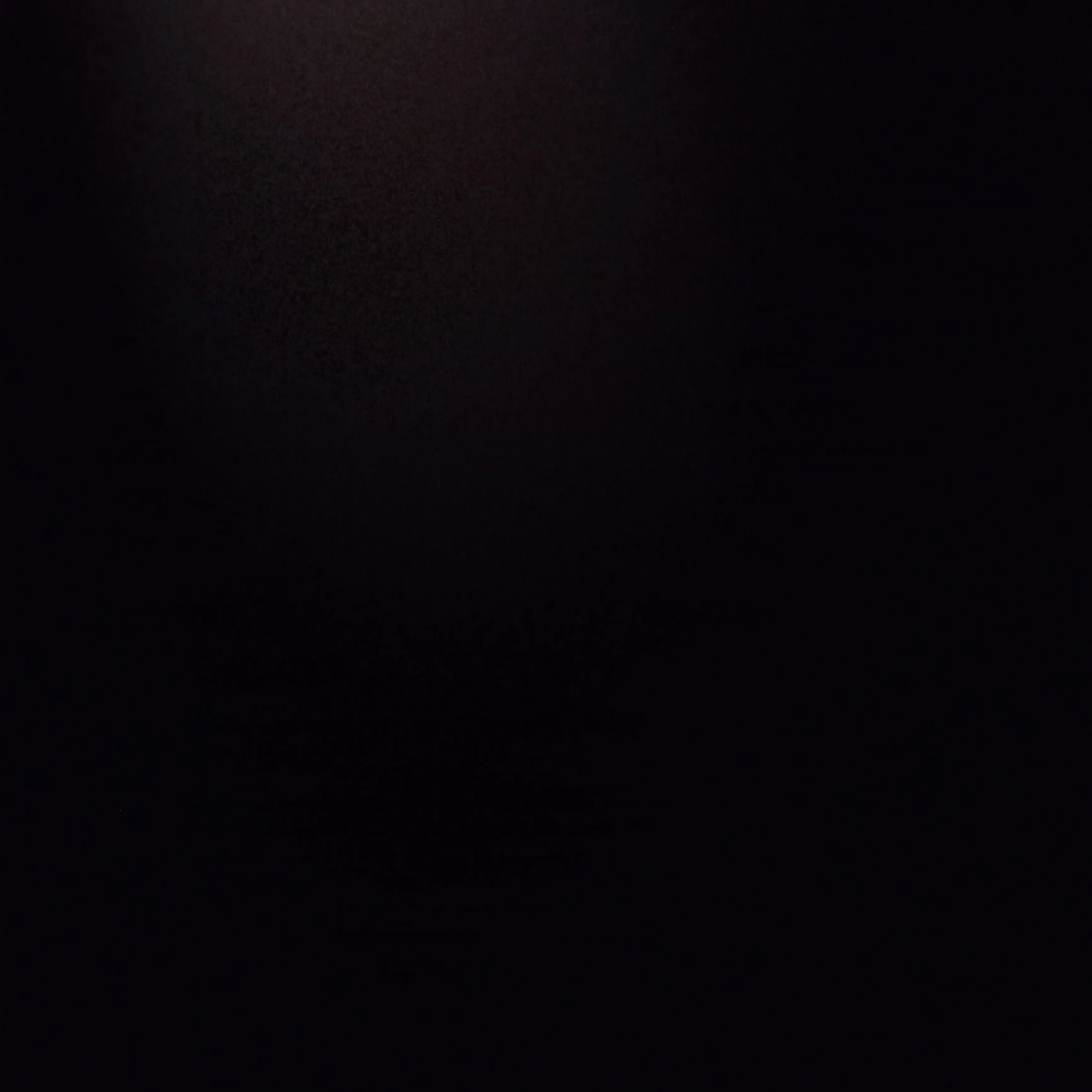 PoliteHawk1380의 3남매