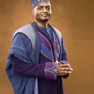 Profile image of Kingsley Shacklebolt