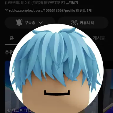 Profile image of 블루판다