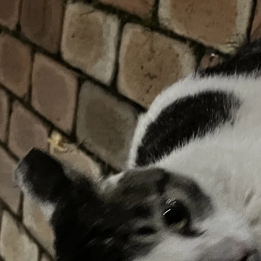 꺼맹이
