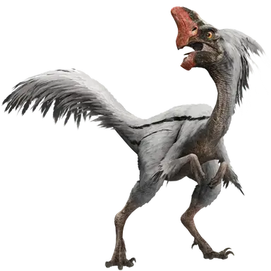 Profile image of 오비라포토르